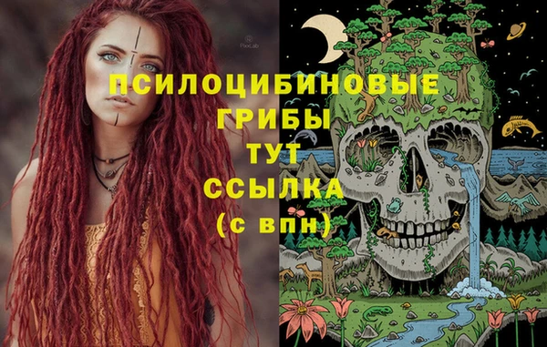 молекула духа Горно-Алтайск