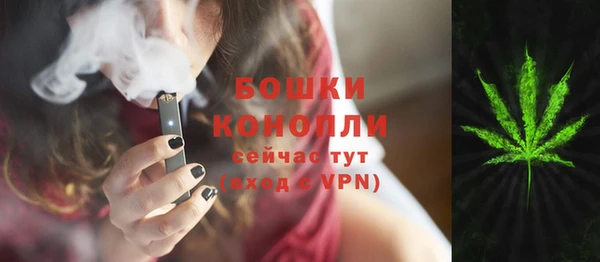 молекула духа Горно-Алтайск