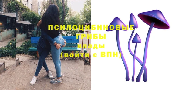 молекула духа Горно-Алтайск