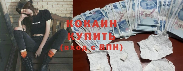 эйфоретик Горняк