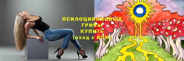 эйфоретик Горняк