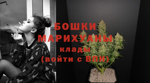 молекула духа Горно-Алтайск