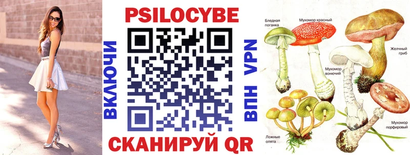 Купить  Малмыж  Галлюциногенные грибы GOLDEN TEACHER 